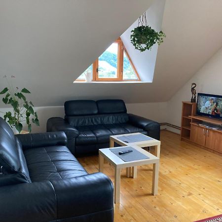 Apartman Pod Laznema Jesenik Bagian luar foto